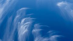 ciel
